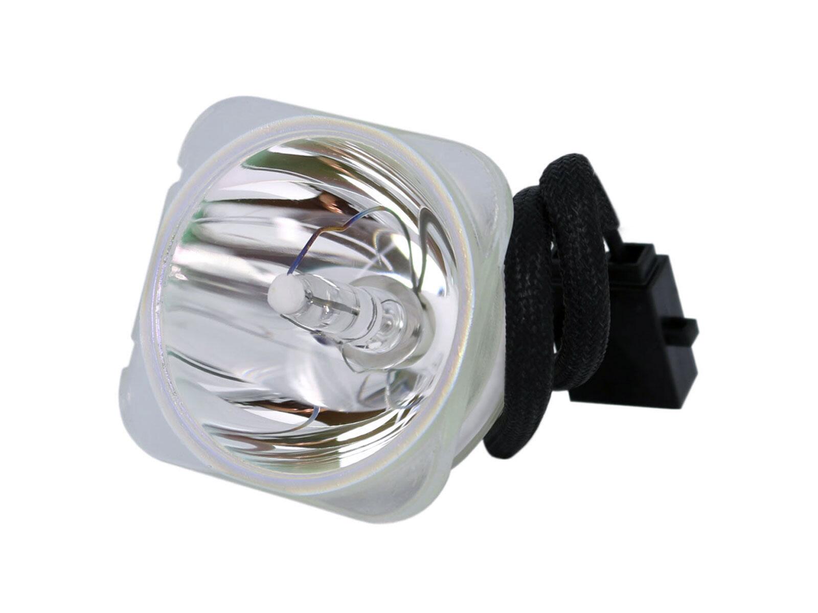SHARP PD-D50X3D  Nackte Ersatzlampe