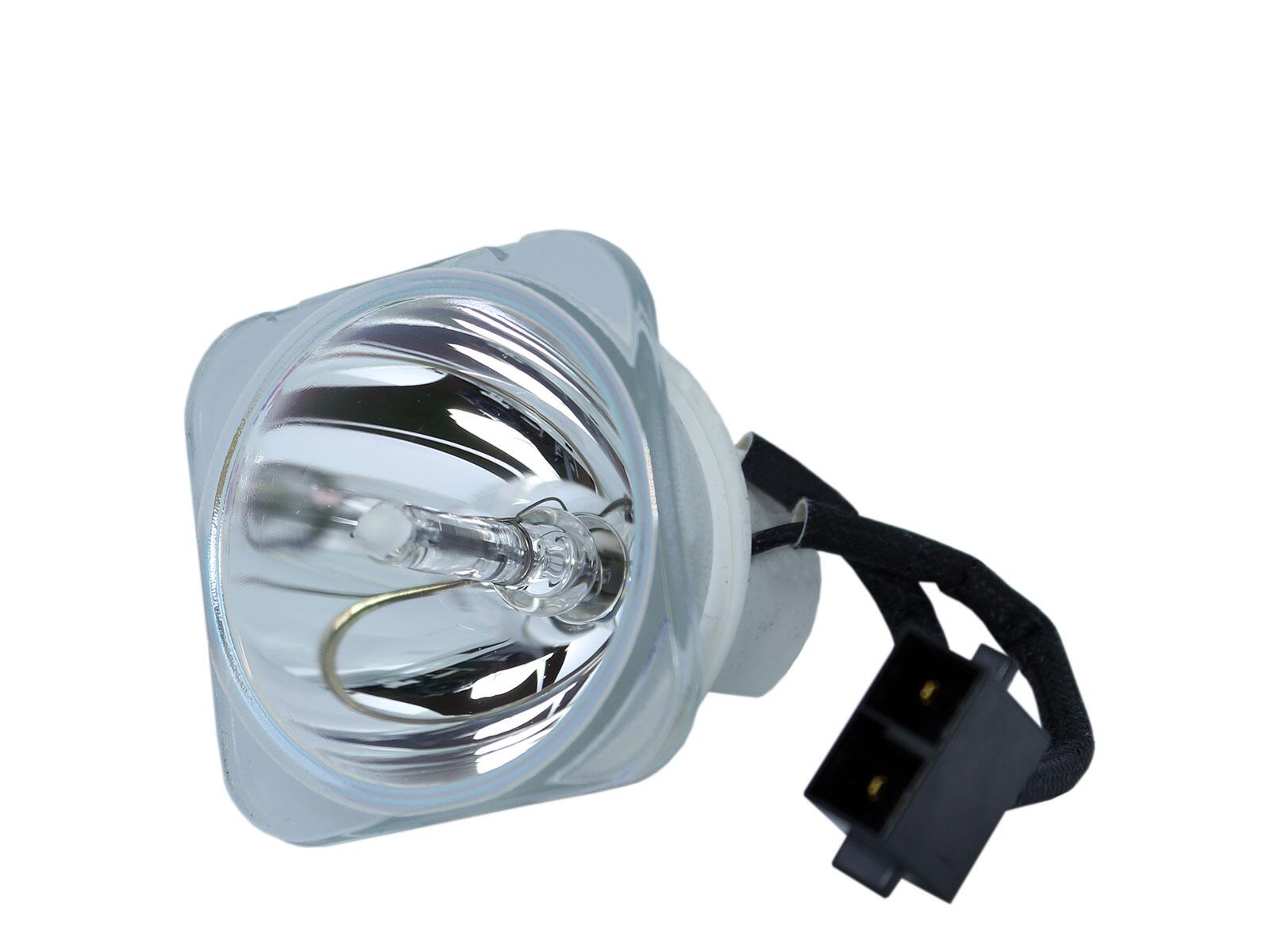 SHARP PG-LW3000  Nackte Ersatzlampe