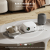 Projektor ALLIWAVA PR550