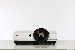 Projektor Eiki LC XSP2600