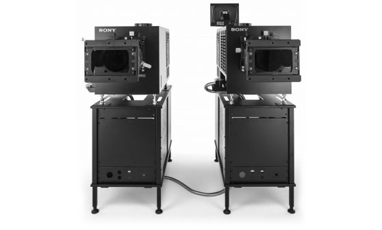 Image Sony SRX R810DS